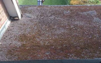 Do You Have A Problem With Your Flat Roof? Don’t Delay Getting Professional Help