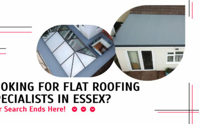 Looking for Flat Roofing Specialists in Essex? Your Search Ends Here!